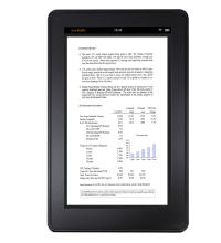 Investment Review PDF Version